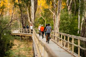 Bike Riding and Other Things to do Echuca