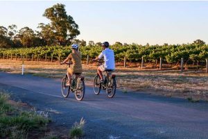 Green Pedal Echuca Bike To Winery E-Bike Tour