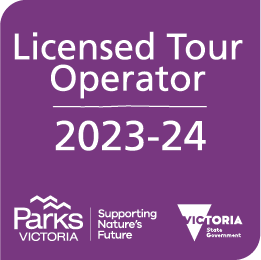 Licenced Tour Operator 2023-24