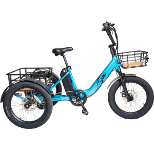 Mover Electric Trike