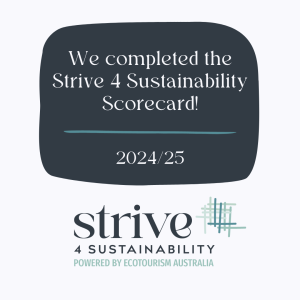 Sustainability Scorecard